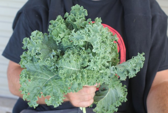 Friday Favourite Strayed Table Veggies