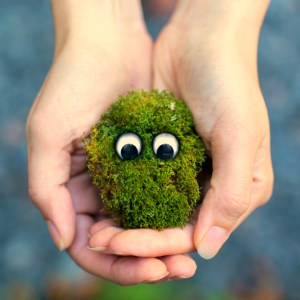 It's second nature recycling for sustainable living