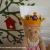 Easy DIY Felt Crown