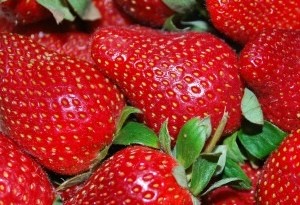 Fresh Strawberries