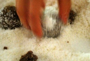 Coat in coconut