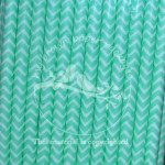 Paper Straws Mint Chevron