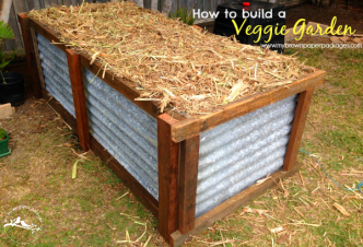 How to build a veggie garden